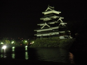 松本市　松本城　夜桜会　桜